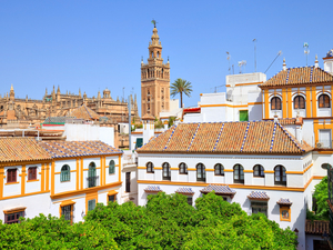 Cadiz to Seville, Self Paced Sightseeing Excursion