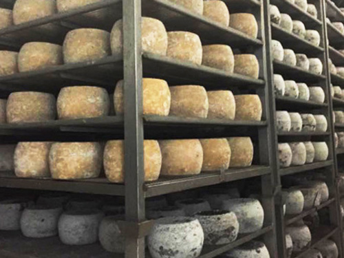 Cagliari Sardinia Cured Meat Sightseeing Excursion Cost