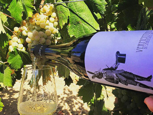 Cagliari Dolianova Sightseeing Excursion Booking