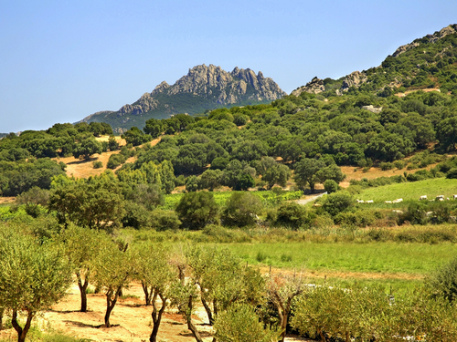 Cagliari  Sardinia Cagliari Buggy Excursion Booking