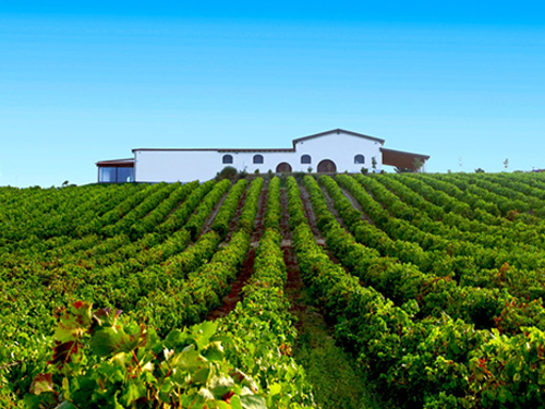 Cagliari Sardinia Cheese Making Cruise Excursion Reservations