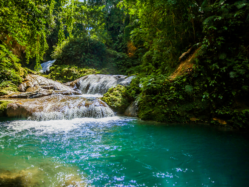 Montego Bay  Jamaica white water rapids Tour