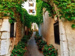 Cannes, St. Paul de Vence and Antibes Sightseeing Excursion
