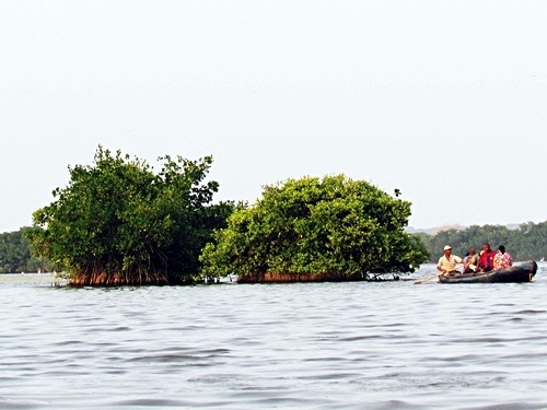 Cartagena  Colombia mangroves Reviews