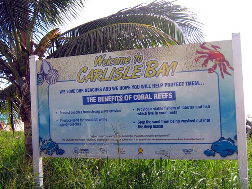 Barbados  West Indies (Bridgetown) shipwreck snorkel Tour
