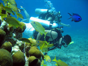 Cartagena Beginner Discover SCUBA Diving Excursion by Boat