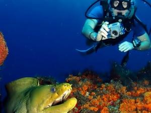 Cartagena Colombia Certified 2-Tank SCUBA Diving Excursion by Boat