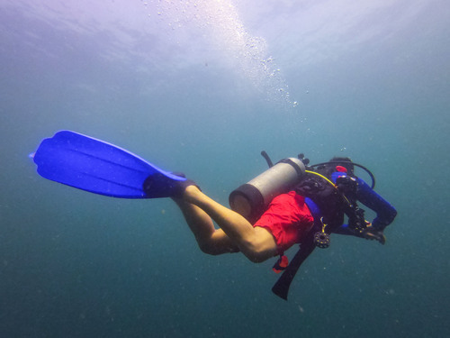 Cartagena dive Excursion Prices