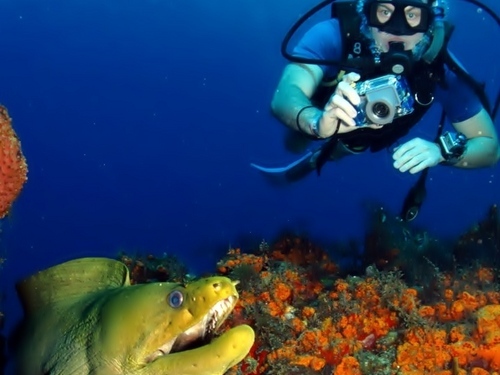 Cartagena Colombia dive Tour Reviews