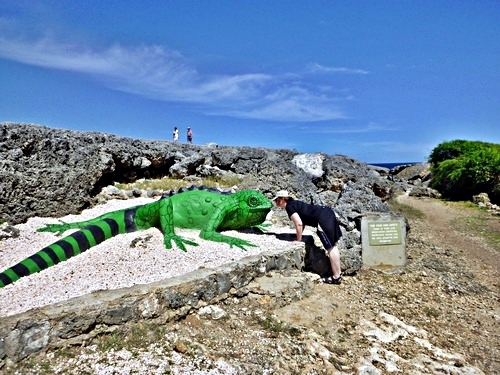 Curacao knip beach  Tour Tickets