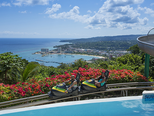 Ocho Rios Hummingbird Garden Trip Booking