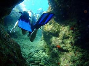 Chankanaab Marine Park 1 Tank SCUBA Dive Excursion - Statues, Reef and Cave Diving from Playa del Carmen