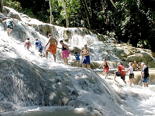 Ocho Rios plantation and dunns river falls Trip Booking