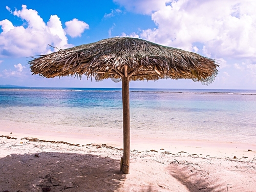 Roatan painting Cruise Excursion Prices