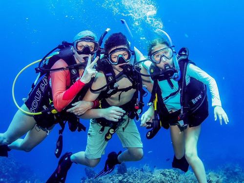 Roatan prince albert Diving Shore Excursion Prices