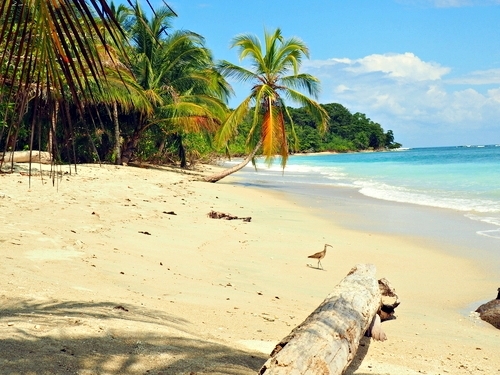 Puerto Limon Costa Rica Tortuguero Channel Shore Excursion Booking