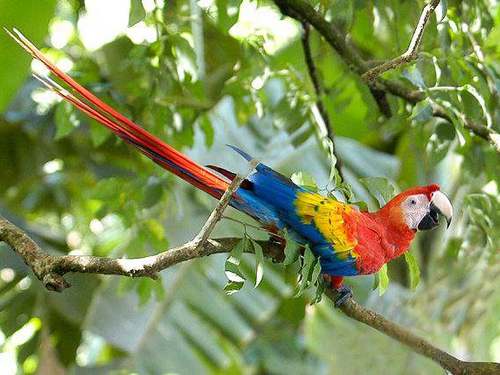 Puntarenas Costa Rica jungle nature walk Trip Cost