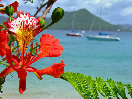 St. Lucia Castries Reduit Beach Tour Cost