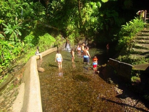 Dominica Roseau hiking Cruise Excursion Prices
