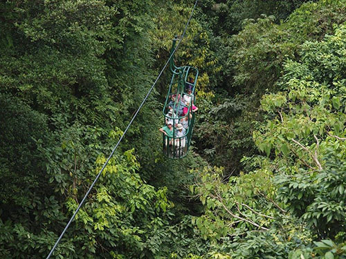 St. Lucia (Castries) rainforest Excursion Cost