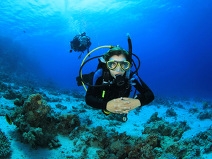 Costa Maya Certified SCUBA Diving Excursion from YaYa Beach Club - 1 or 2 Tank Dive Options