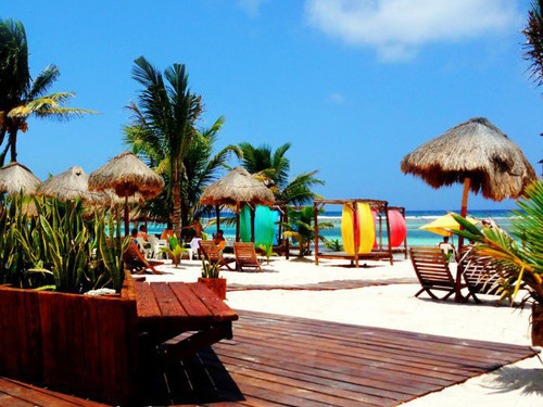 Costa Maya Coral Reef Tour Cost