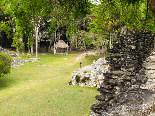 Costa Maya English Speaking Guide  Tour Booking