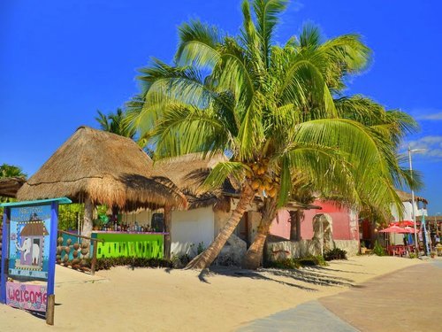 Costa Maya Food and Drinks Shore Excursion Reviews