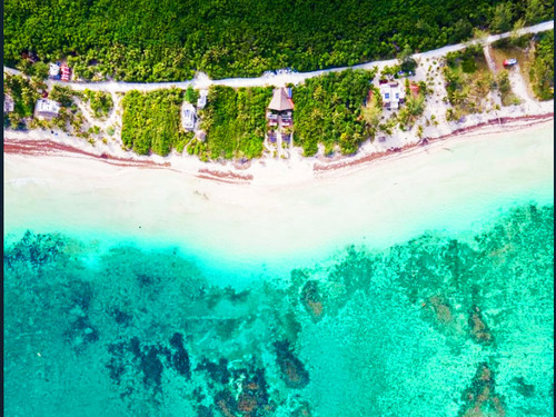Costa Maya  Mexico Hayhu Beach Cruise Excursion Prices