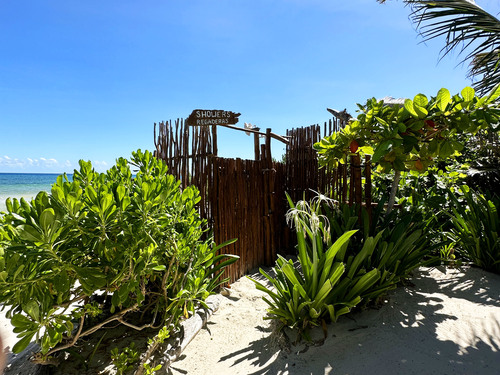 Costa Maya  Mexico Hayhu Beach Shore Excursion Reservations