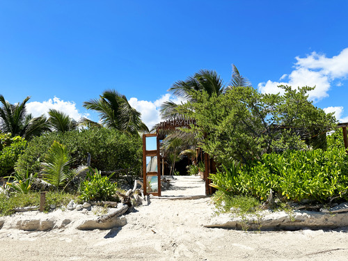 Costa Maya  Mexico Hayhu Beach Shore Excursion Cost