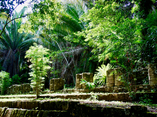 Costa Maya Kohunlich Mayan Ruins Excursion Tickets