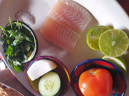 Costa Maya  Mexico Margaritas Cooking Class Trip Tickets