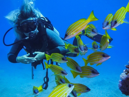 Costa Maya Mexico Coral Formations Cruise Excursion Reservations