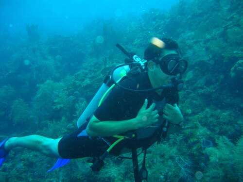 Costa Maya  Mexico Coral Reef Shore Excursion Cost