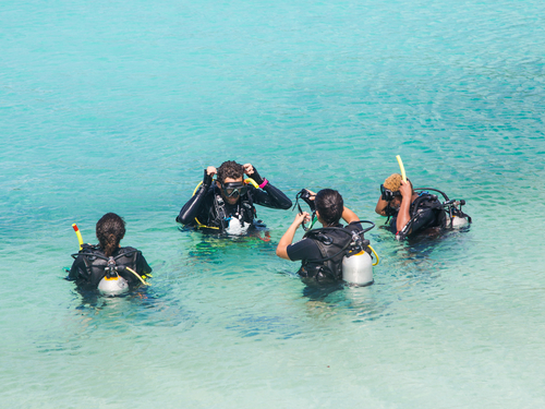 Costa Maya Mexico English Speaking Staff Shore Excursion Reviews