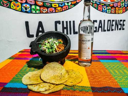 Costa Maya  Mexico Fresh Ceviche Cooking Class Excursion Cost