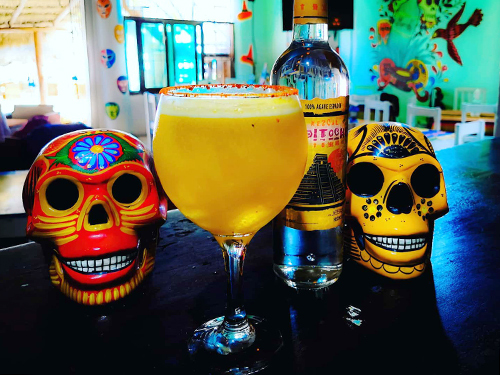 Costa Maya  Mexico Chef Class Cooking Class Shore Excursion Prices