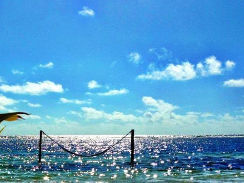 Costa Maya Mexico (Mahahual) 2 Reef Snorkel Tour Tickets