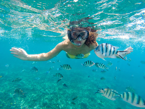 Costa Maya Mexico (Mahahual) Snorkeling by Boat Excursion Prices