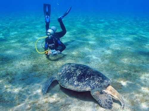 Costa Maya Mexico Scuba Diving Cruise Excursion Reservations