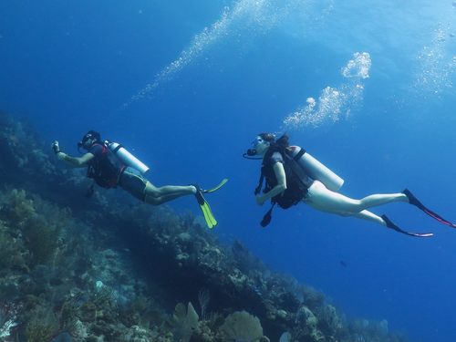 Costa Maya Mexico Scuba Diving Excursion Reviews