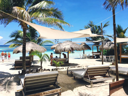 Costa Maya Mexico Swimming Trip Reservations