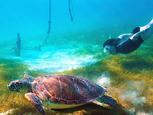 Costa Maya Ibiza Sunset Cruise Excursion Prices