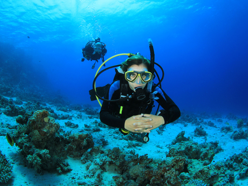 Costa Maya Scuba Diving Trip Cost