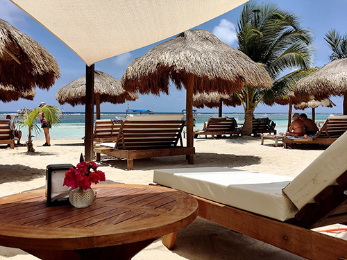 Costa Maya Swimming Trip Tickets