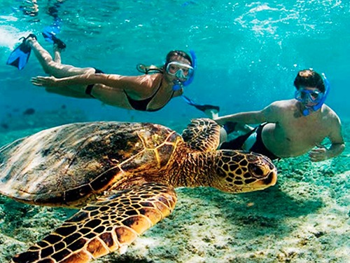 Costa Maya Beach Shore Excursion Cost