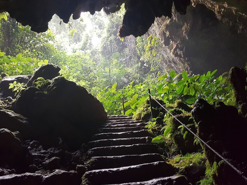Belize National Park Tour