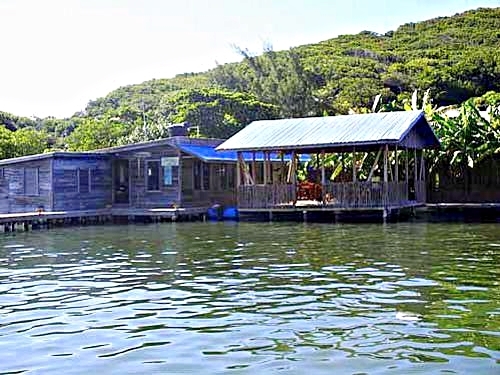 Roatan  Honduras mangrove tour Shore Excursion Reservations