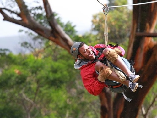 Maui Hawaii ziplining Trip Reservations